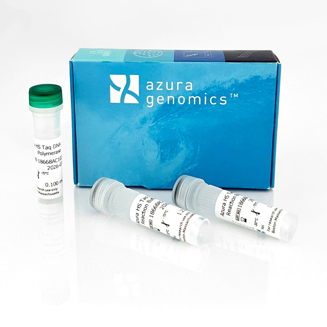 Azura HS Taq DNA Polymerase
