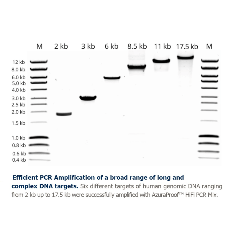 Graph of data of six different targets of genomic DNA successfully amplified.