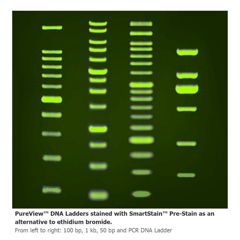 DNA ladder with green bands on a black background, stained with SmartStain Pre-Stain.