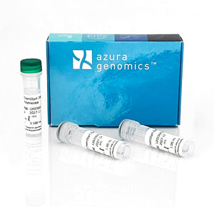 ChemStart™ DNA Polymerase