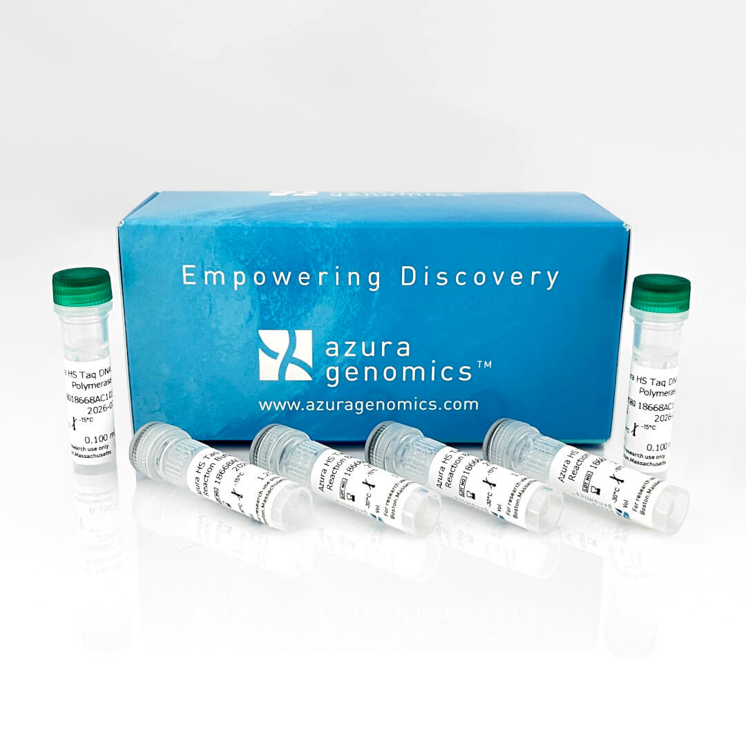 Azura HS Taq DNA Polymerase