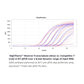 HighTherm™ Reverse Transcriptase