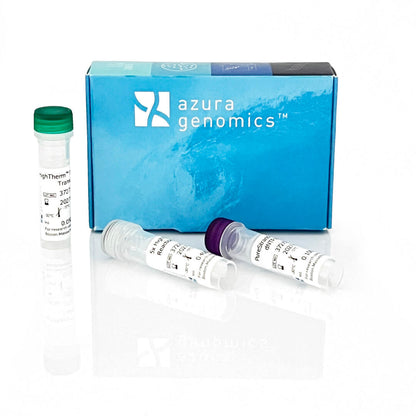 HighTherm™ Reverse Transcriptase