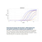 AzuraFlex™ cDNA Synthesis Kit