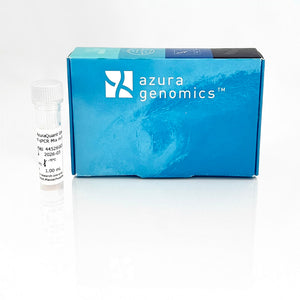 AzuraQuant™ GreenFast qPCR Mix HR