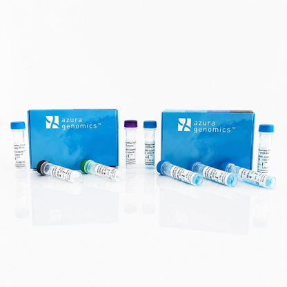 AzuraView™ GreenFast 2-Step qPCR Kit