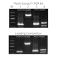Flash-Extract™ Lysis Solution
